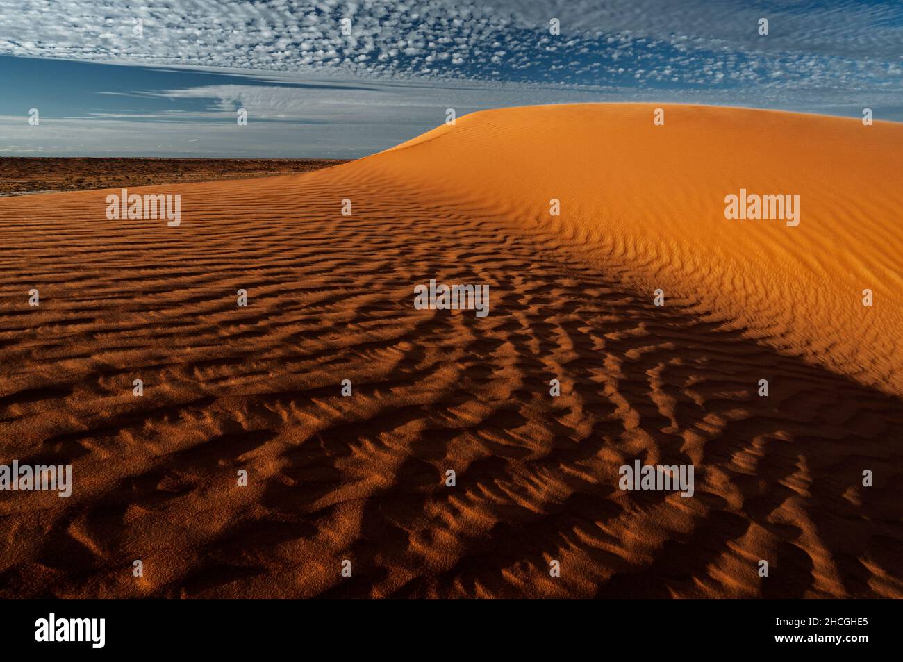 Red dunes of Simpson Desert in the Outback of Queensland. Stock Photo