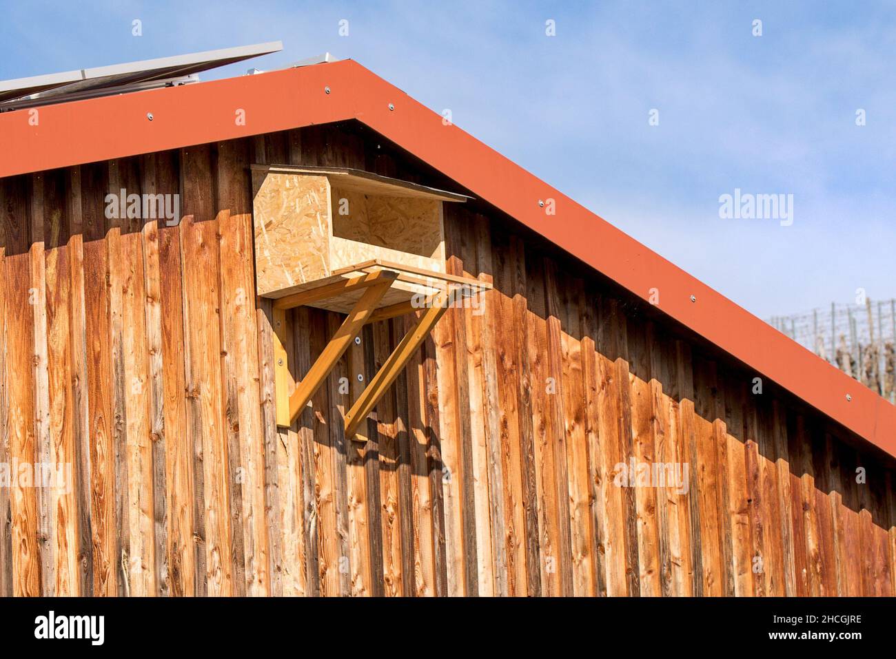 Großer Vogelnistkasten Marke Eigenbau Stock Photo