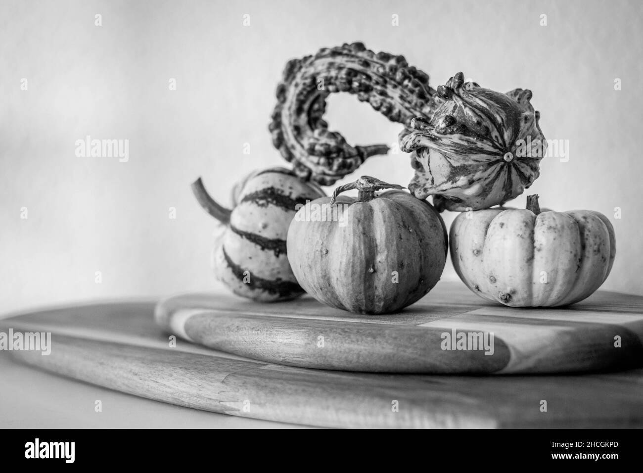 a selection of mini pumpkin decorations standing on a wooden chopping board monochrome Stock Photo