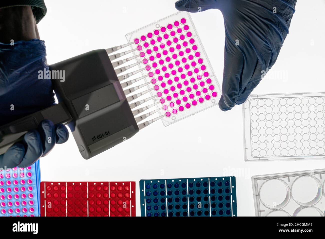 Microwell plate hires stock photography and images Alamy