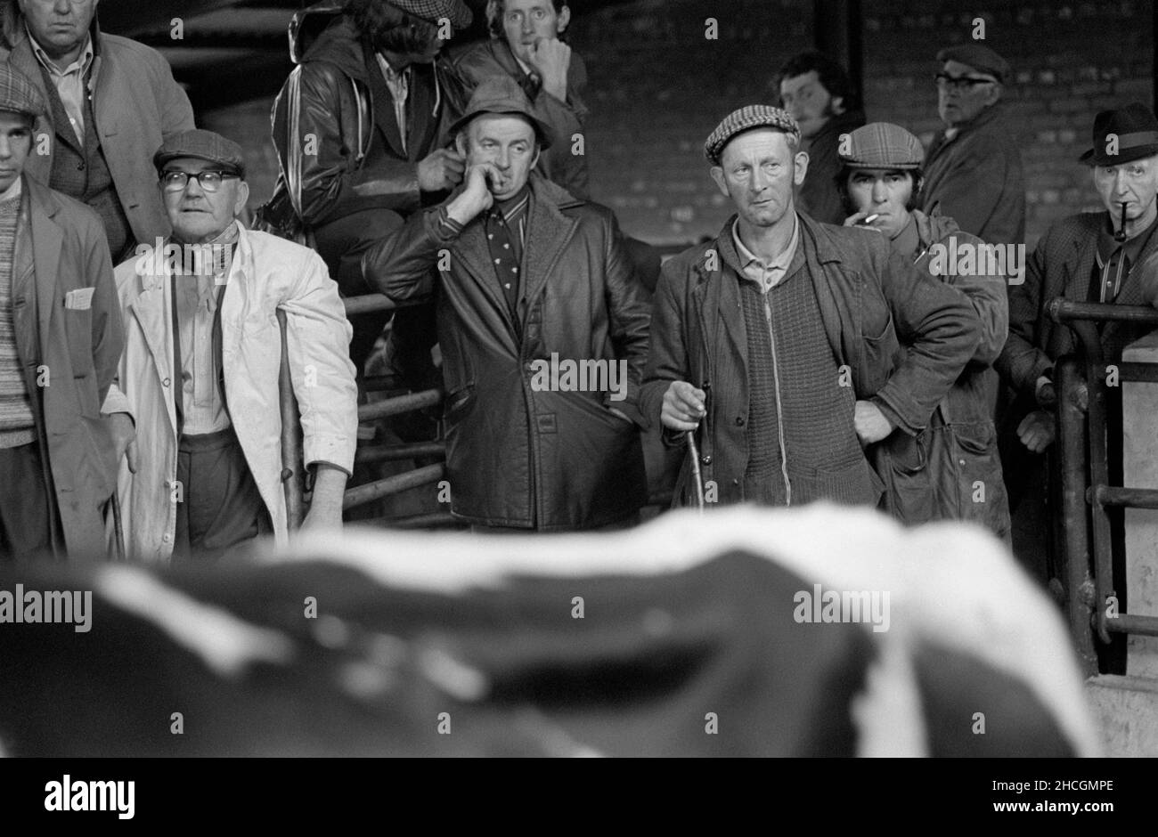 Farmers at a cattle auction, Llandovery, Carmarthenshire, Wales, 1978 Stock Photo