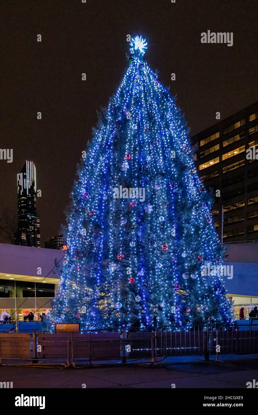 The large Christmas Tree with blue lights in Nathan Phillips Square