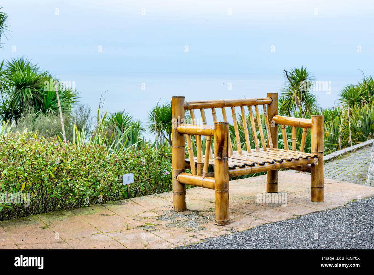 Bamboo bench in botanical garden of Batumi in Georgia with calm sea in the  background. Relaxation and natural material furniture concept Stock Photo -  Alamy