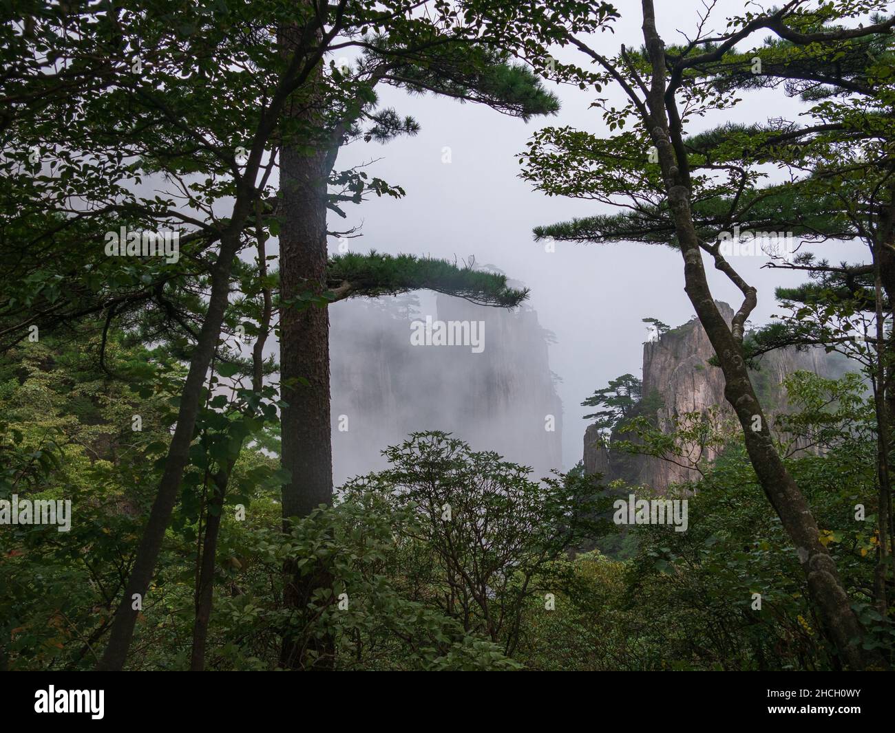 mist and fog covering the Huangshan mountains, yellow mountains, Anhui, Huangshan, China, asia, stock photo Stock Photo