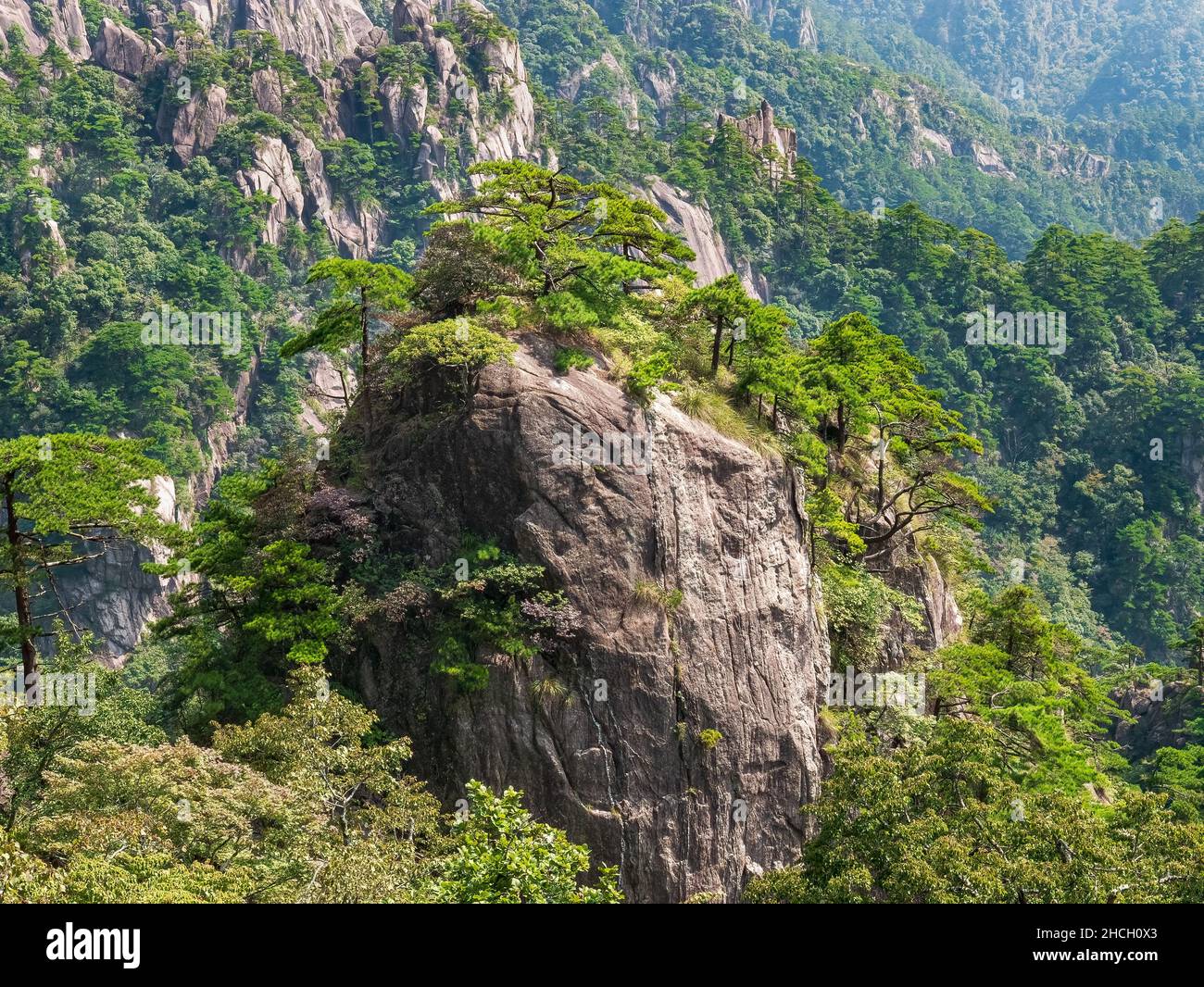 Rock at the yellow mountains with a beautiful blue sky on a summer day, Huangshan mountains, Anhui, Huangshan, China, Asia, Stock photo Stock Photo