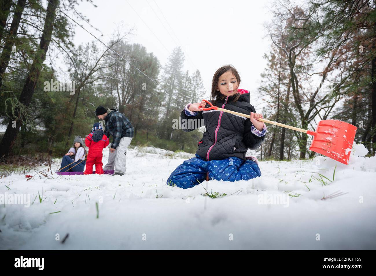 USA. 27th Dec, 2021. Hadleigh Caron, 8, of Carmichael, California shovels snow as her family sleds in the snow near Applegate on Monday, Dec. 27, 2021. (Photo by Hector Amezcua/The Sacramento Bee/TNS/Sipa USA) Credit: Sipa USA/Alamy Live News Stock Photo