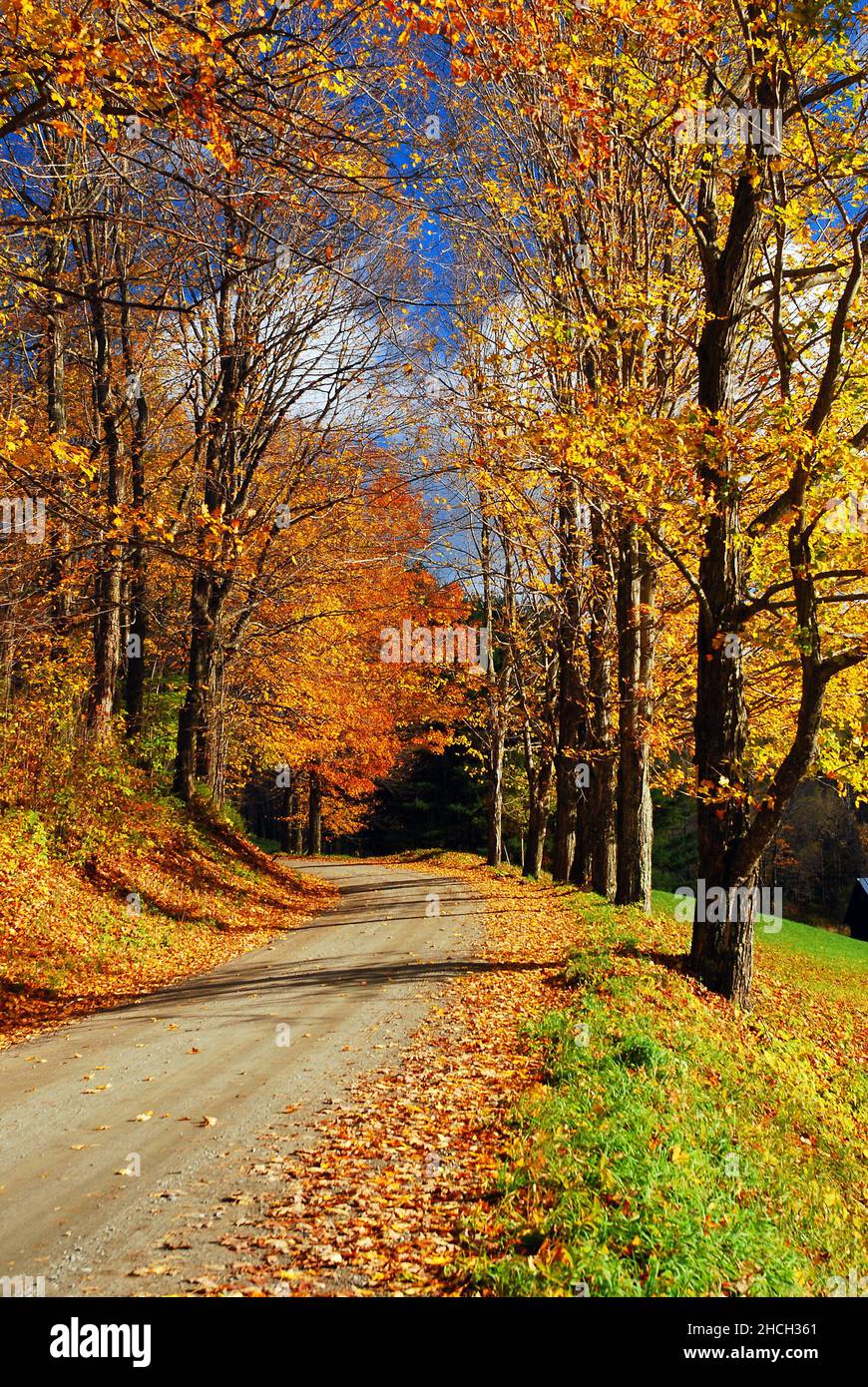 beautiful backroads century