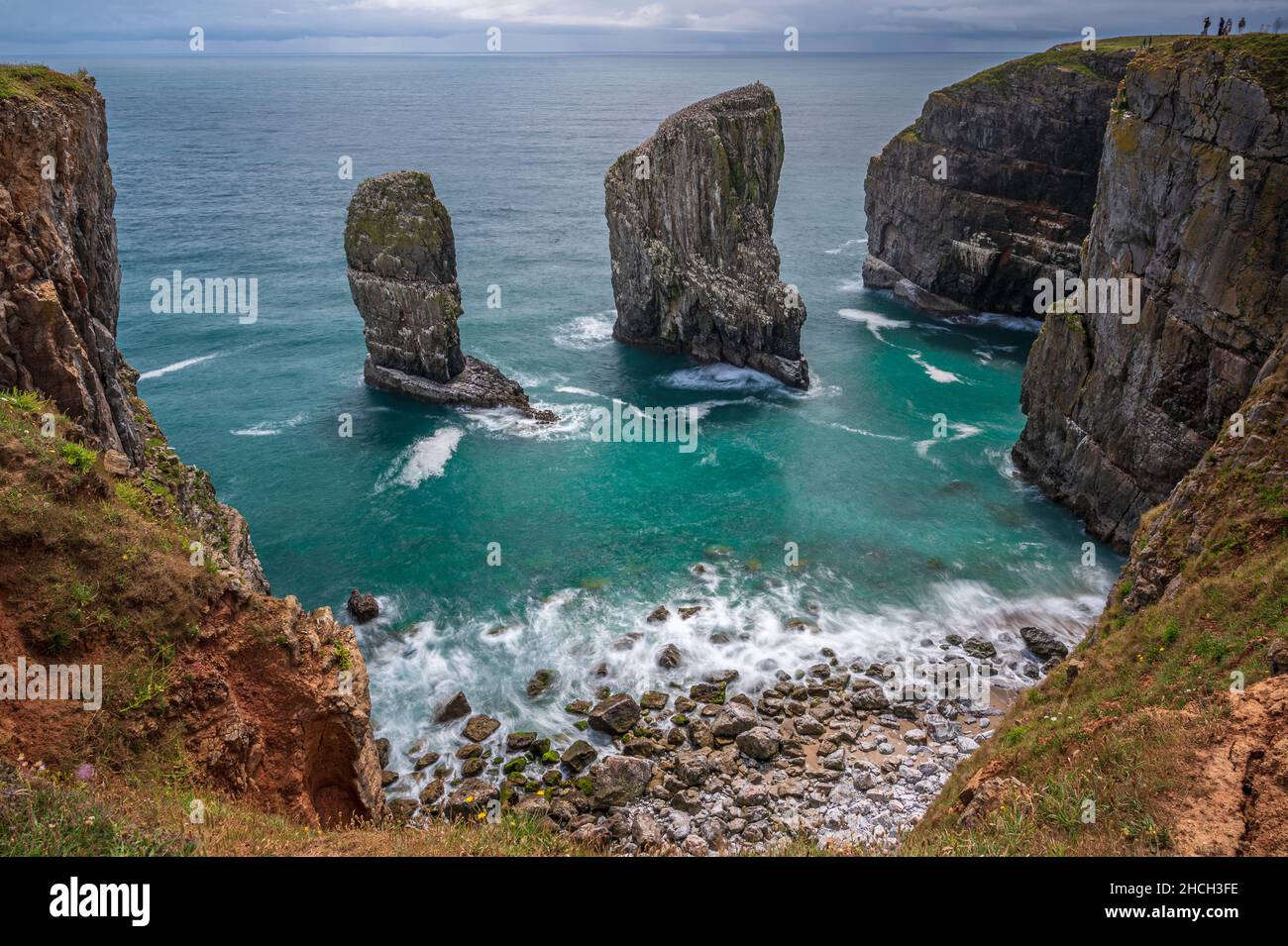 Elegug Stacks, Pembrokeshire, south Wales. The stacks are a unique geological formation that can be seem from the Wales coastal path. Stock Photo