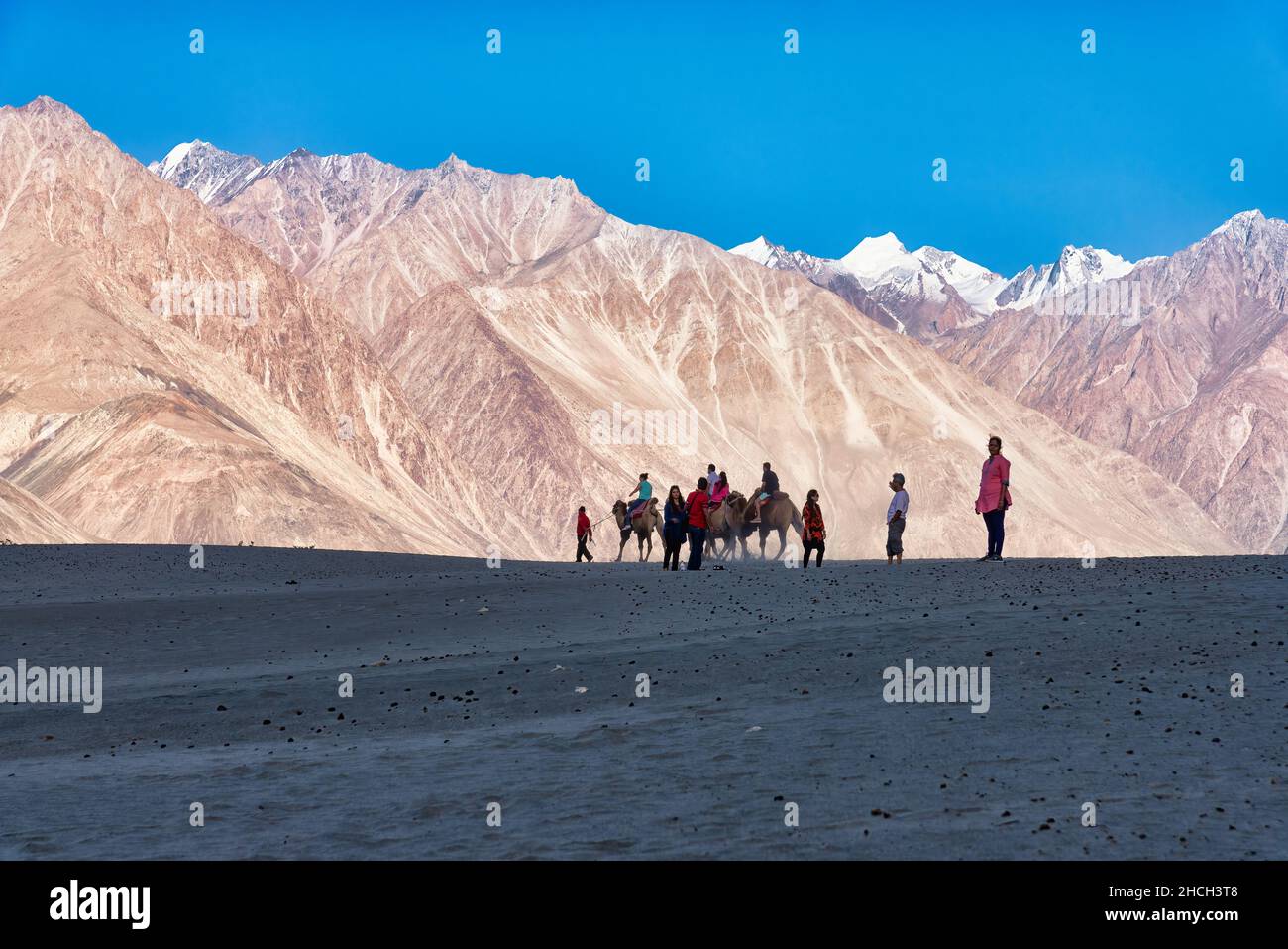 Hunder, India - August 19, 2015: Group of people riding bactrian camels in Sand Dunes in Nubra Valley. Bactrian camels are native to the steppes Stock Photo