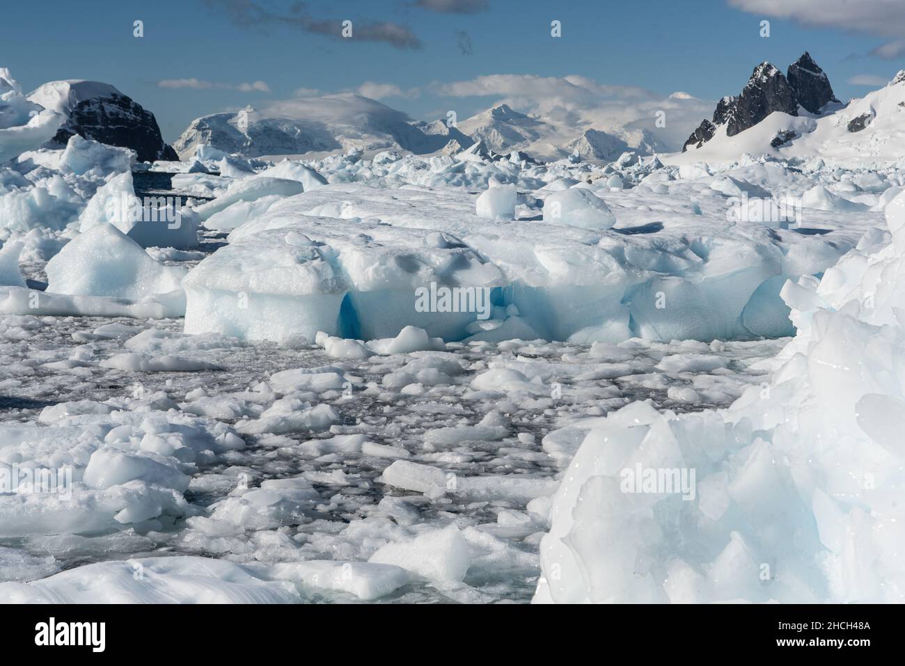 A landscape photograph of a field of bergy bits (growlers) and icebergs