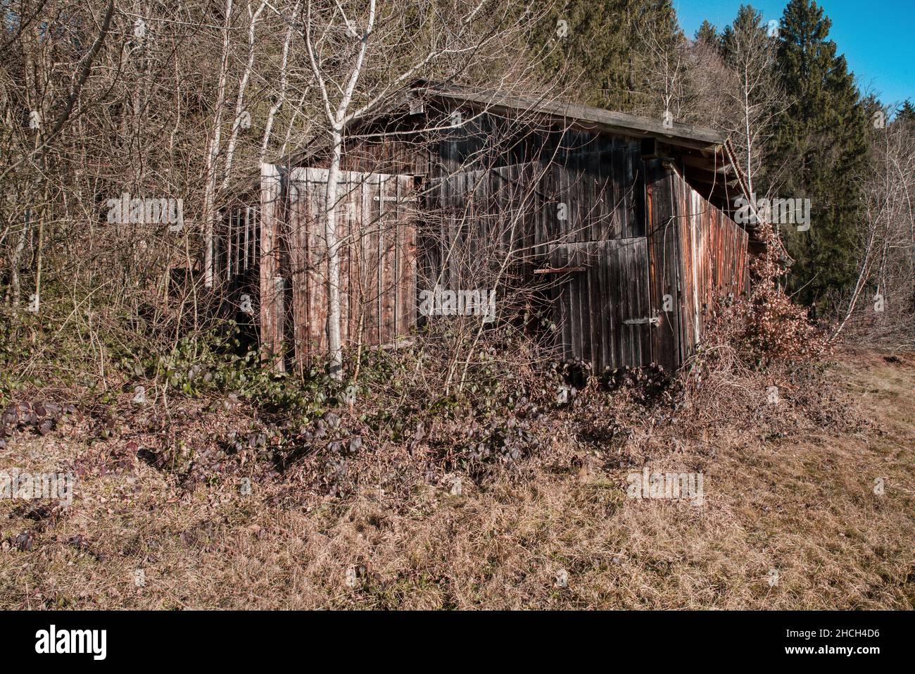 alte verlassene Holzscheune Stock Photo