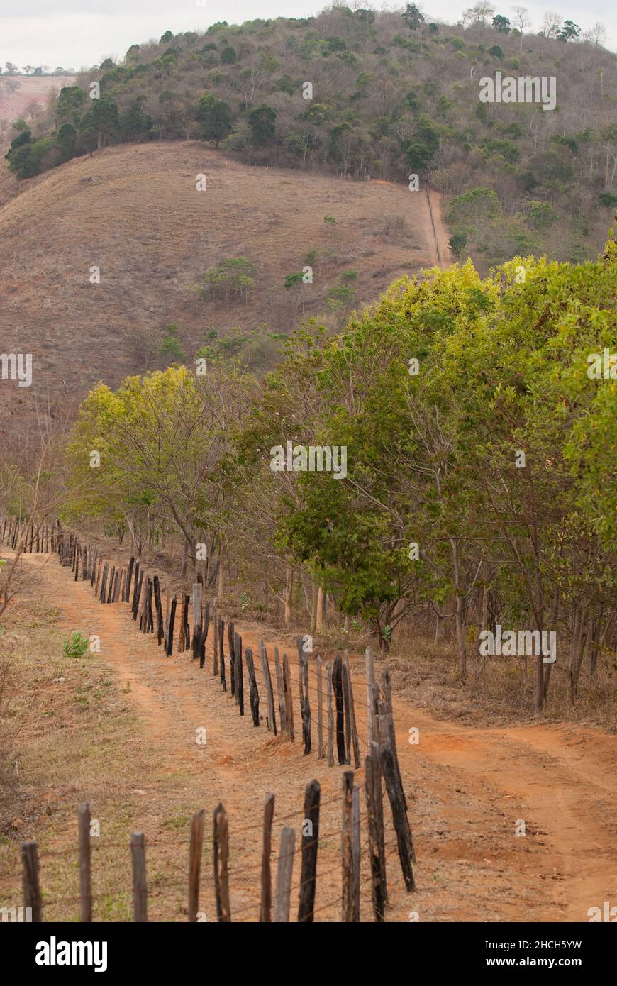Border of protected area in Brazil's Atlantic Foreest, a highly endangered habitat, showing the pressure on the remaining forest right up to the fence. Stock Photo