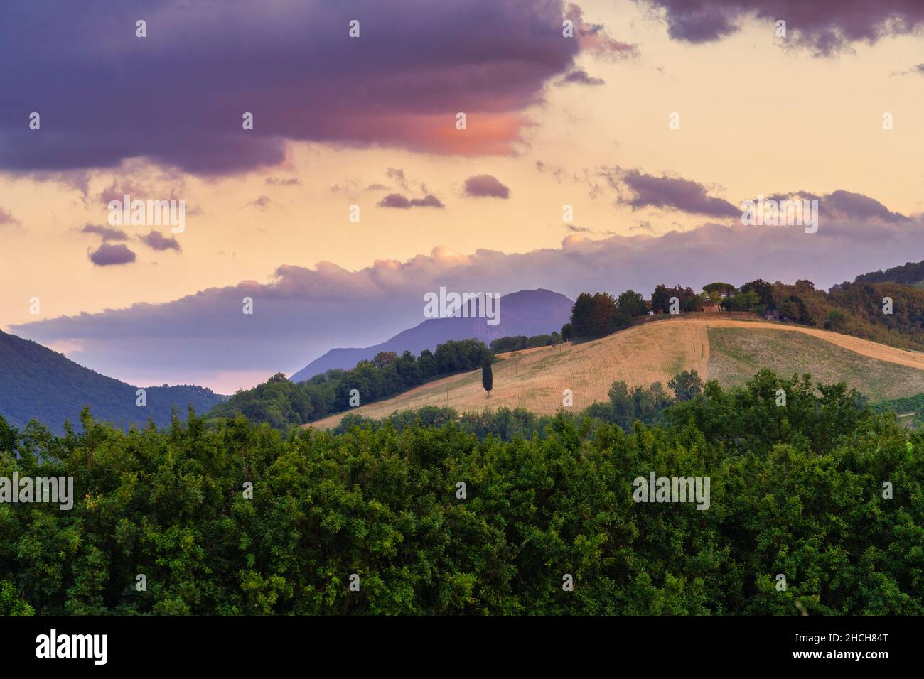 Countryside at sunset, Corinaldo, Marche, Italy Stock Photo