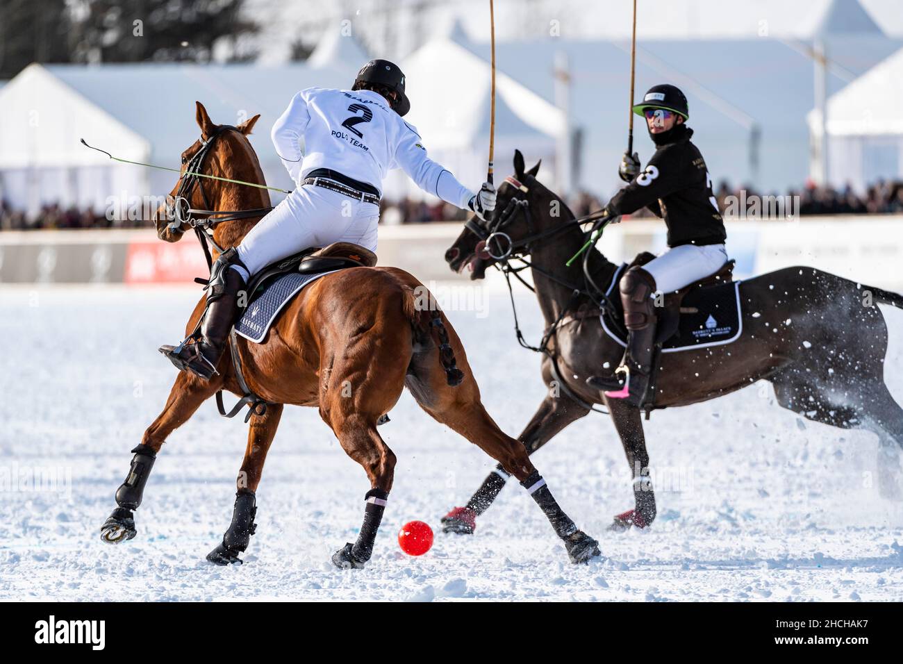 Maserati polo team cheap
