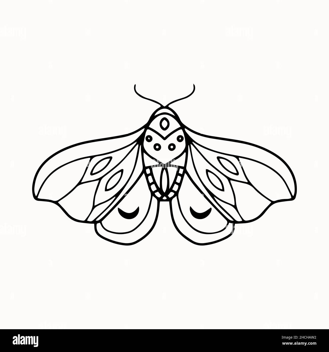 Line art of mystical esoteric moth with crescent moon and ornament ...