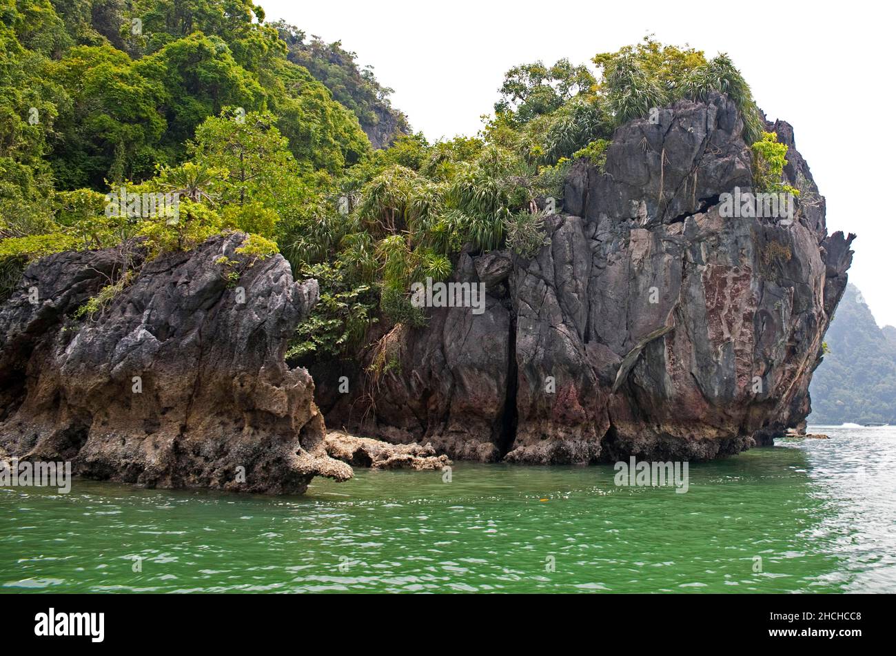 Mangrove coast, Phang Nga Bay Mangrove coast, Phang Nga Bay, Phang Nga, Krabi, Thailand Stock Photo