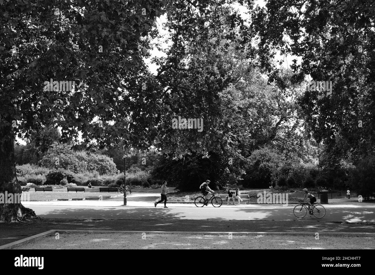 Hyde Park London UK in black and white Stock Photo