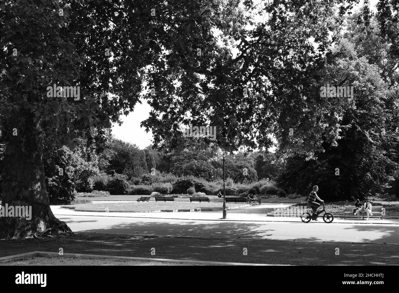 Hyde Park London UK in black and white Stock Photo