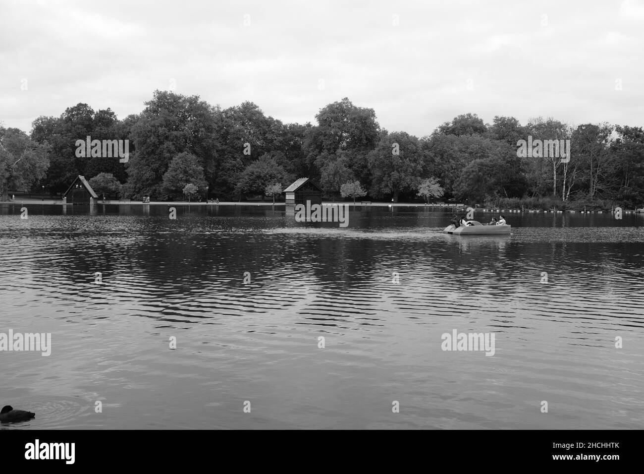 Boating on the Serpentine Hyde Park London UK in black and white Stock Photo