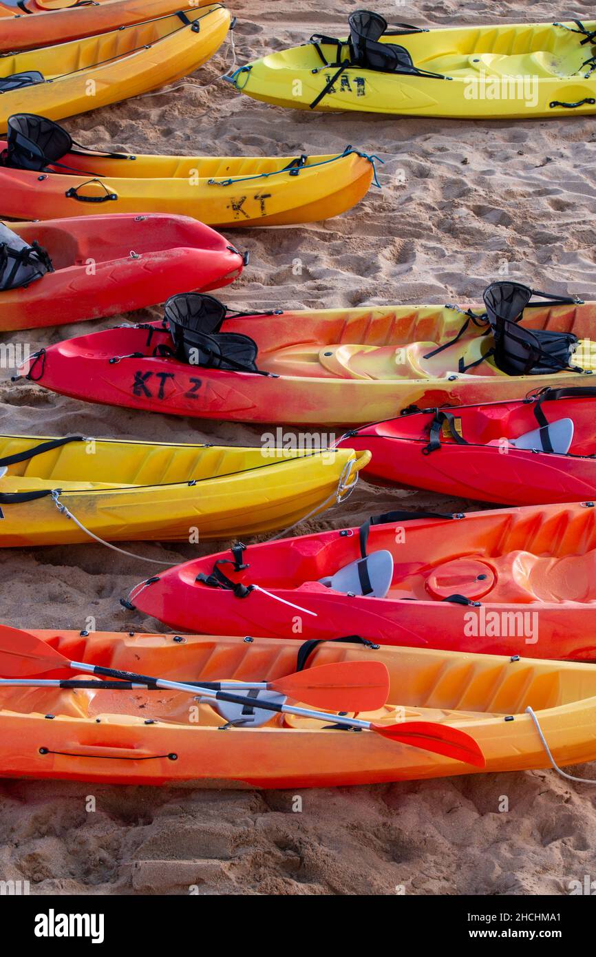 Group of yellow kayaks on the beach sand Stock Photo - Alamy