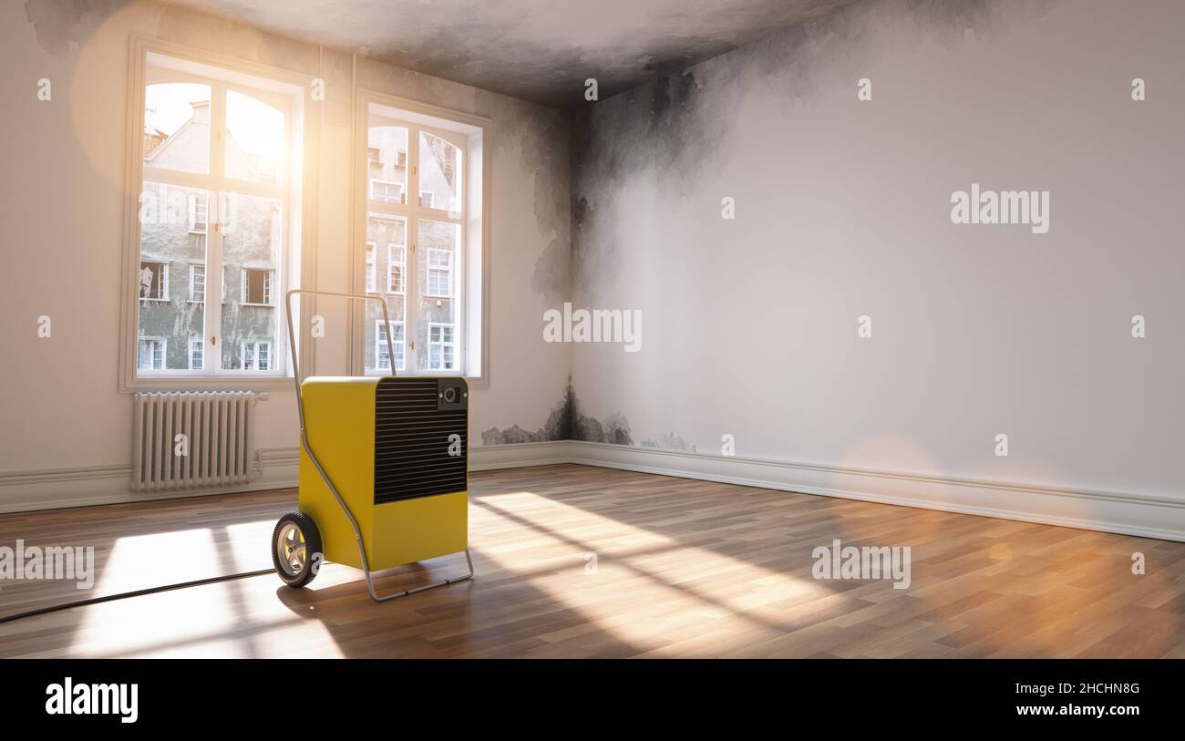 Professional dehumidifier after water damage standing in a room with Mould Stock Photo