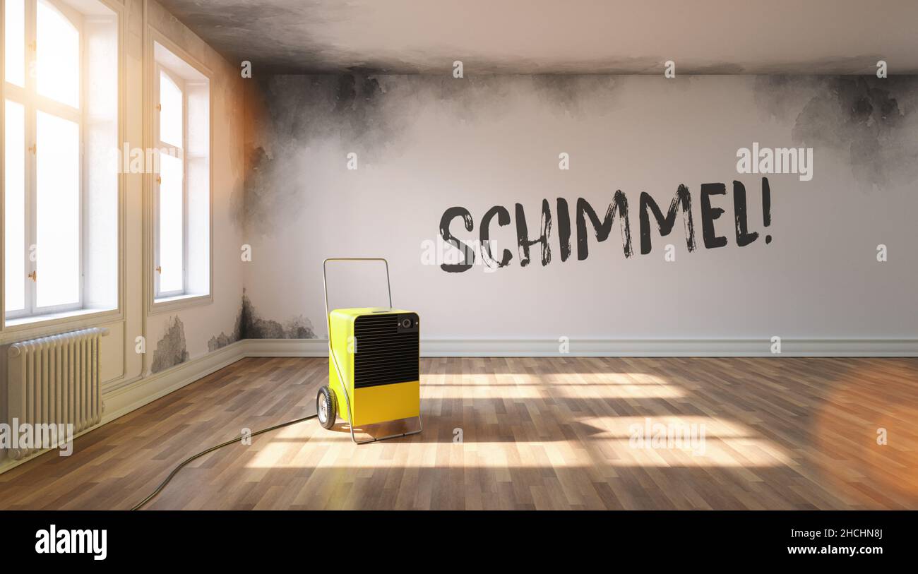 Schimmel (German for: Mould in a room) with Professional dehumidifier after water damage standing in a room with a lot of Mould Stock Photo