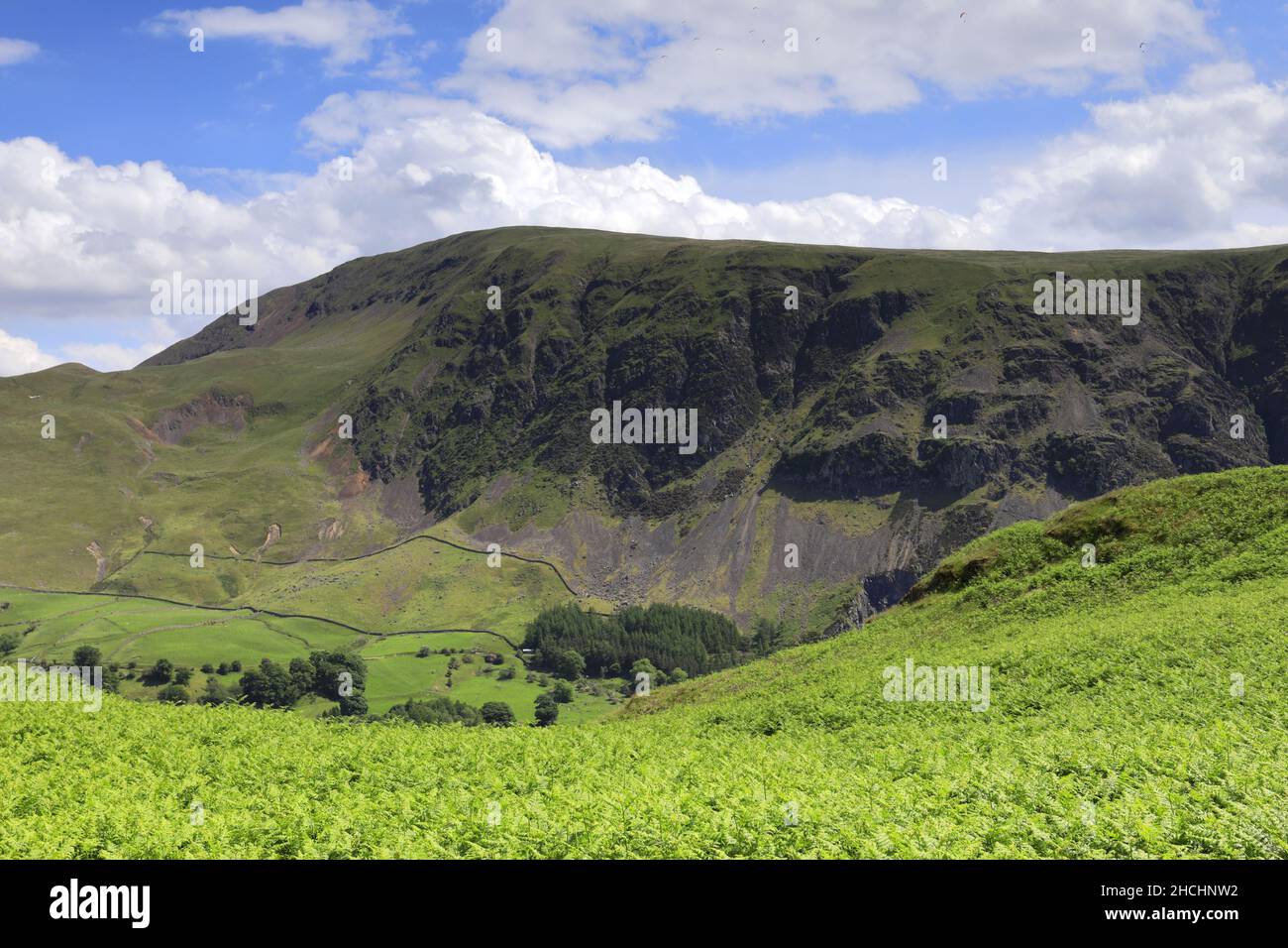 Page 2 John Clough High Resolution Stock Photography And Images Alamy