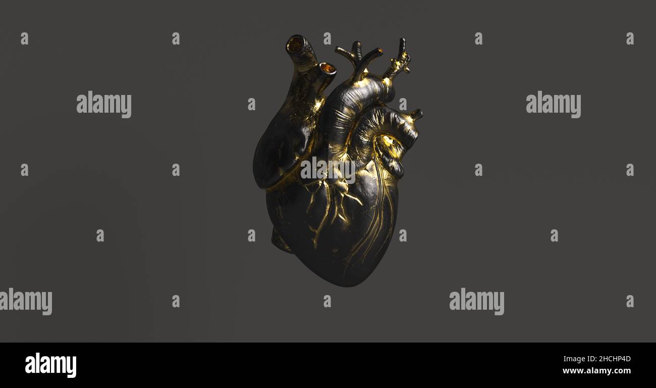 Black Heart with gold Anatomical. Anatomy and medicine concept image ...