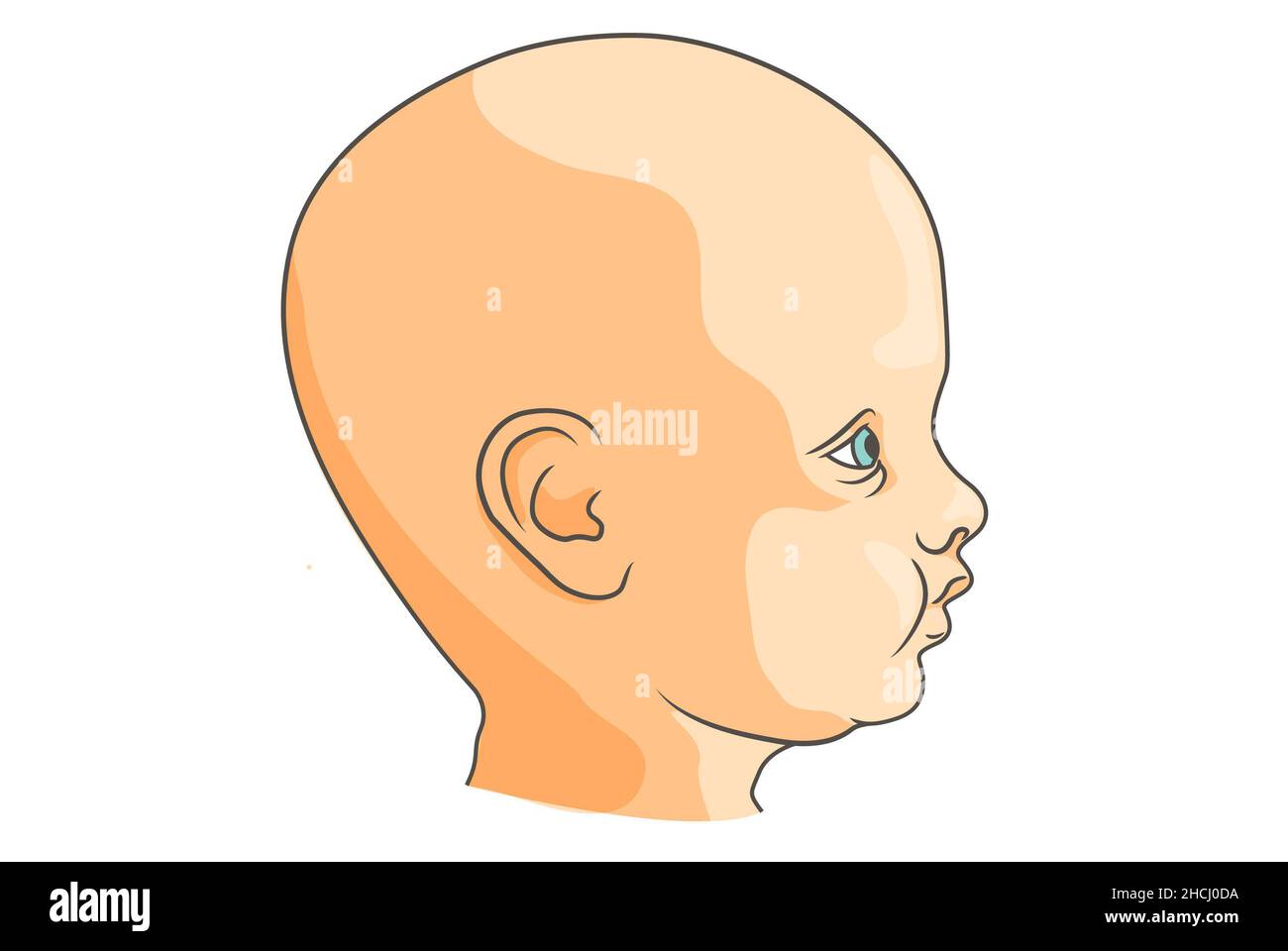 Simple illustration of an infants head from the lateral view, blue eyes. Stock Photo