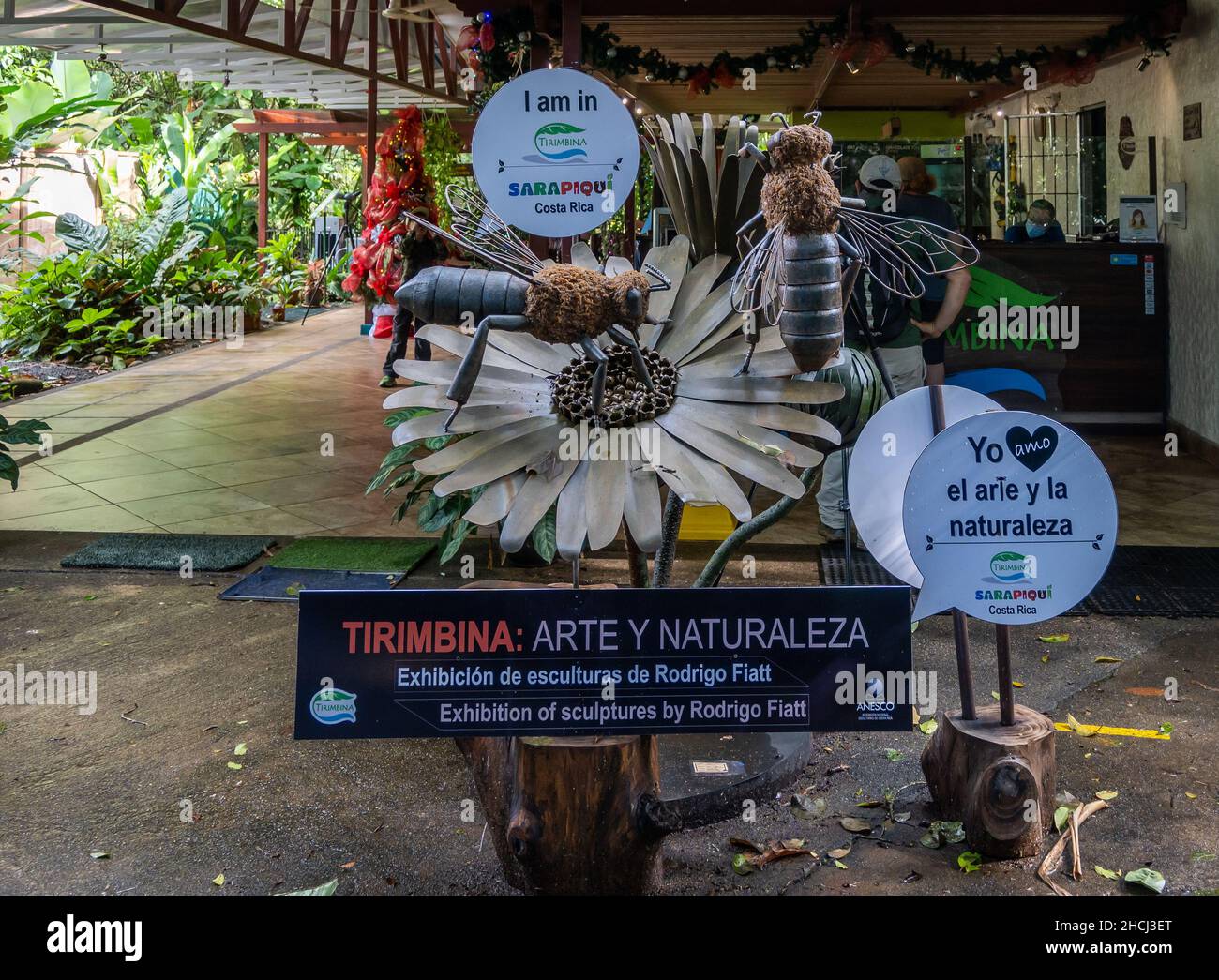 Tirimbina Rainforest Reserve. Sarapiquí, Heredia, Costa Rica, Central America. Stock Photo