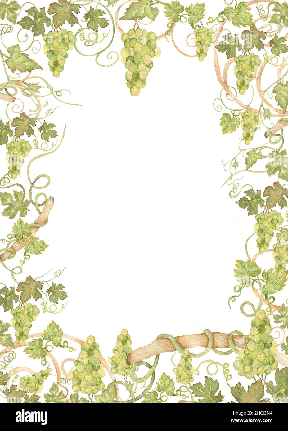 Beautiful Grapes Frame Clipart, Watercolor Wine Label border, Leaves clip art, Vineyard, Green Fruits, Vinery, wedding invitation, card making, tags d Stock Photo