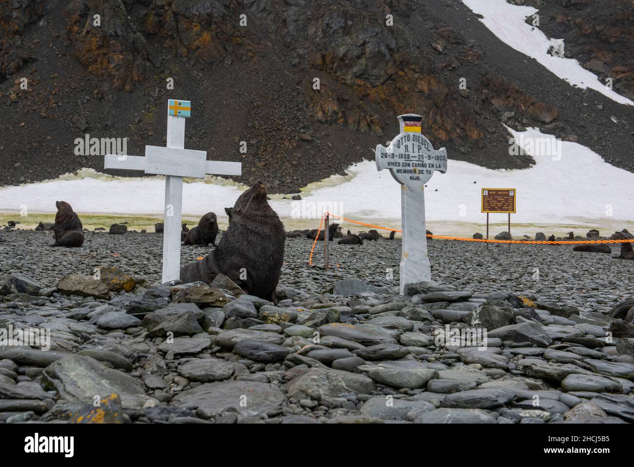 Antarctica, South Orkney Islands, Laurie Island, Orcadas Station. Argentine scientific research station, historic cemetery. Stock Photo