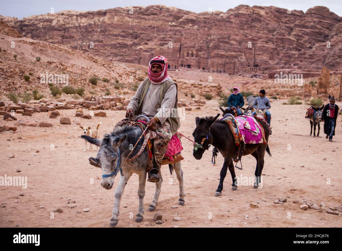 Bedouins of Petra riding their donkeys on the desert of Petra on a winter day. Petra, Jordan. Stock Photo