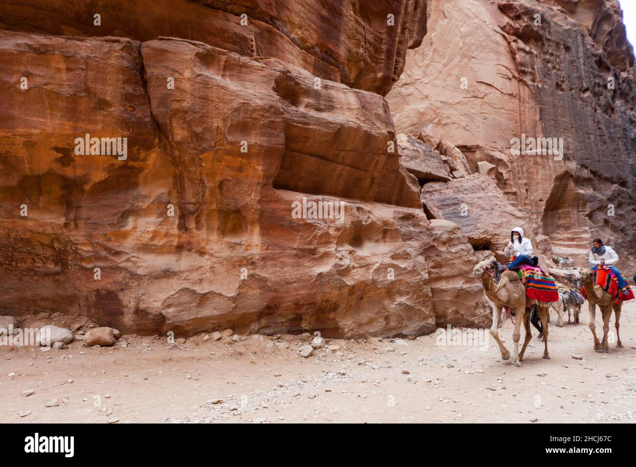 Two bedouins men riding their camels on historical desert of Petra. Stock Photo