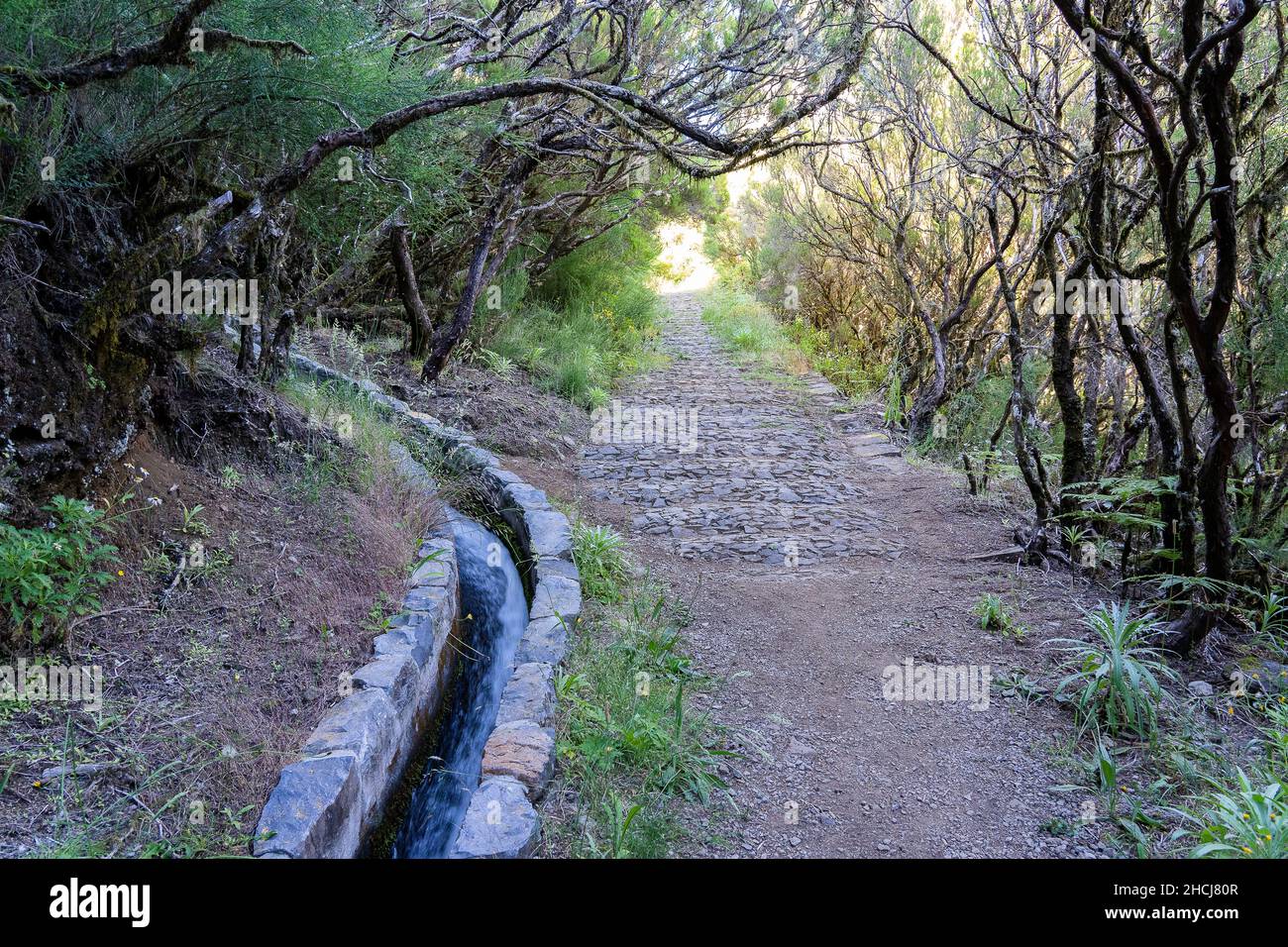 Incredible path in nature of Madeira island, famous for hiking in the mountains. Stock Photo