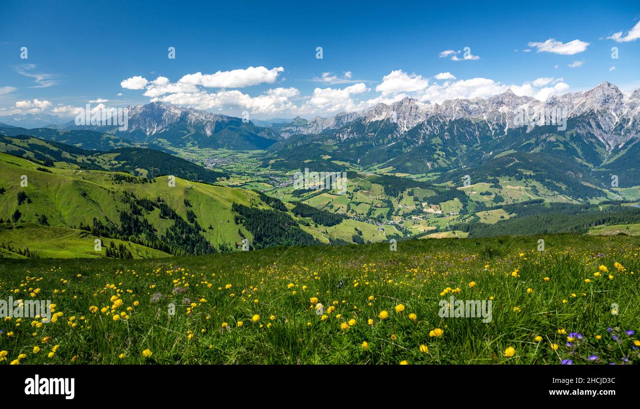 Flower meadow with a panoramic view of Maria Alm and Saalfelden, Salzburg, Austria Stock Photo