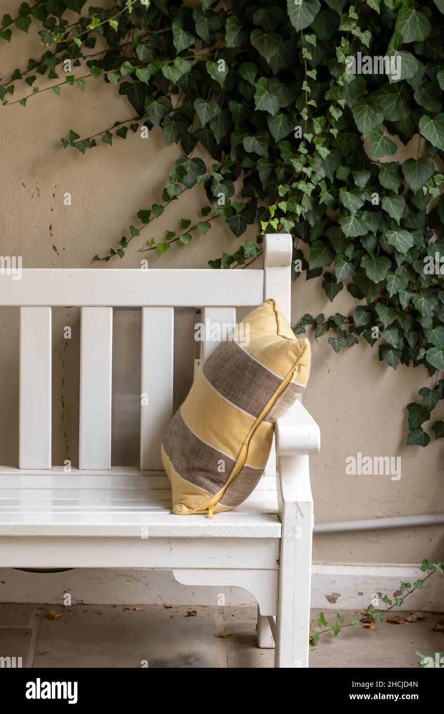 White wooden bench against a beige wall. Yellow and gray striped pillow. English ivy on the wall. Cozy nook. Stock Photo