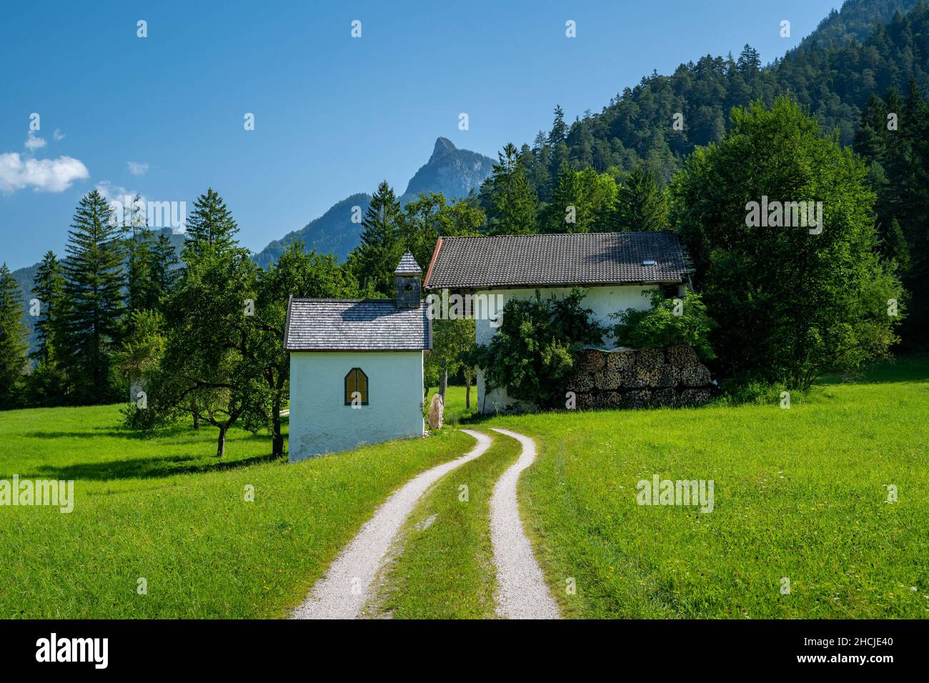 Summer landscape with old farm, Unken, Pinzgau, Salzburger Land, Austria Stock Photo