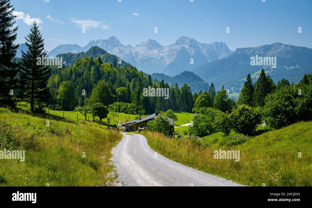 Alpine path with summer mountain landscape, Unken, Pinzgau, Salzburger Land, Austria Stock Photo