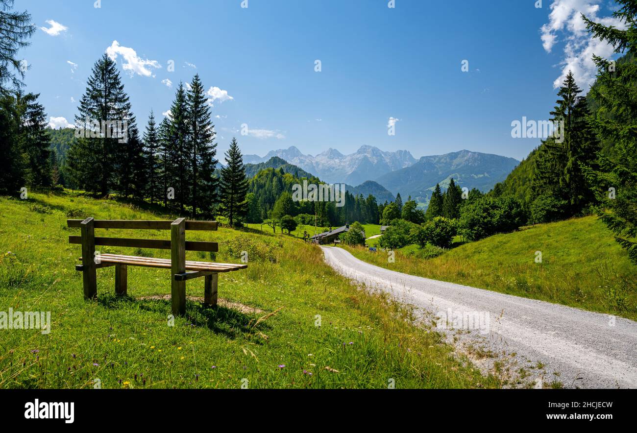 Seating next to Almweg with summer mountain landscape, Unken, Pinzgau, Salzburger Land, Austria Stock Photo