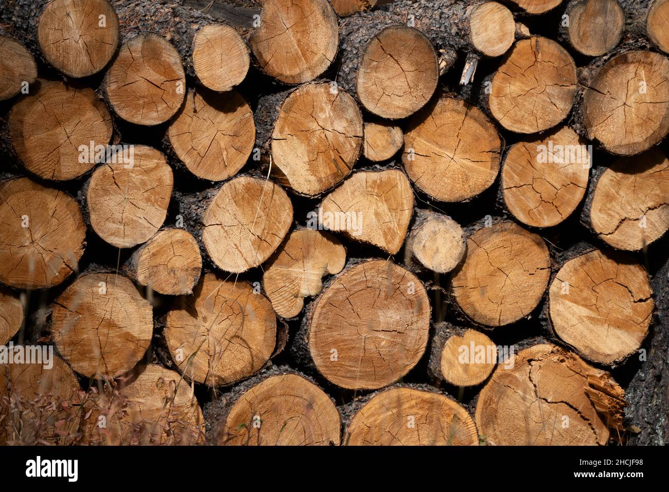 Neatly stacked Firewood In the Prairies of Canada Stock Photo