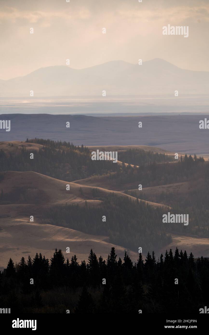 Scenic views of the Cypress Hills Saskatchewan Alberta Stock Photo Alamy