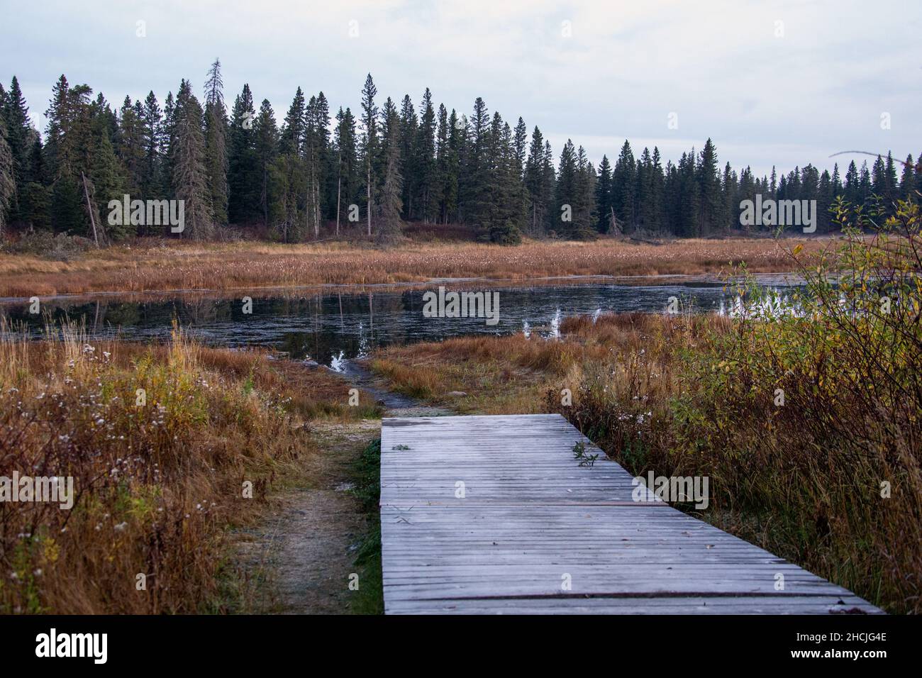 waterways at Riding Mountain National Park Manitoba Canada Stock Photo