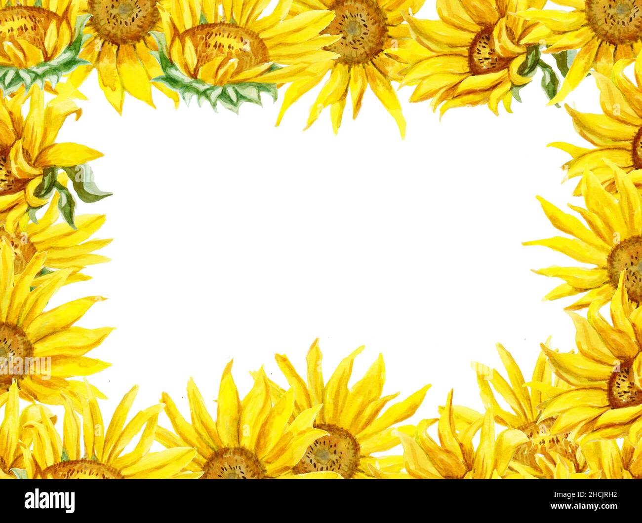 Floral frame with sunflowers. Watercolor hand drawn illustration Stock ...
