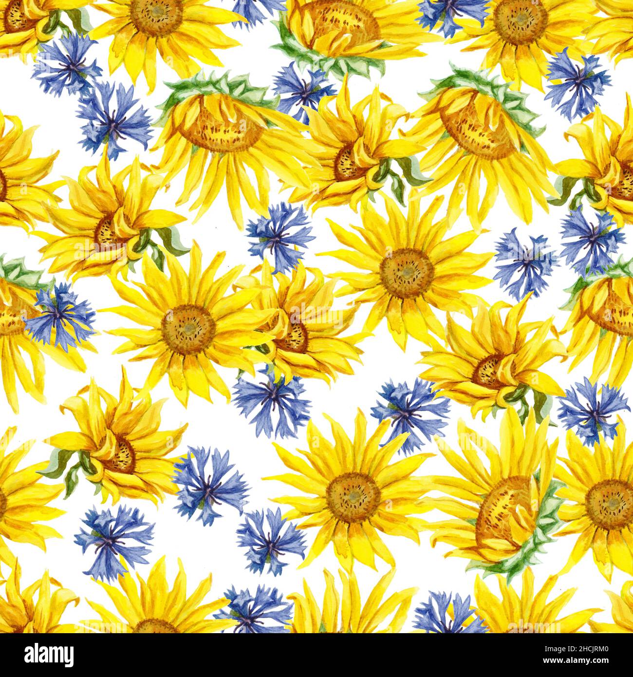Seamless pattern with sunflowers. Watercolor hand drawn illustration ...