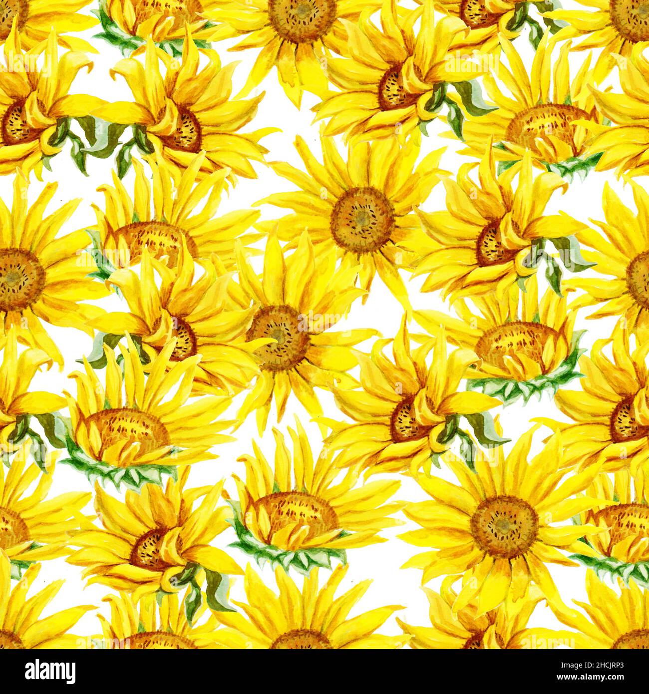Seamless pattern with sunflowers. Watercolor hand drawn illustration ...