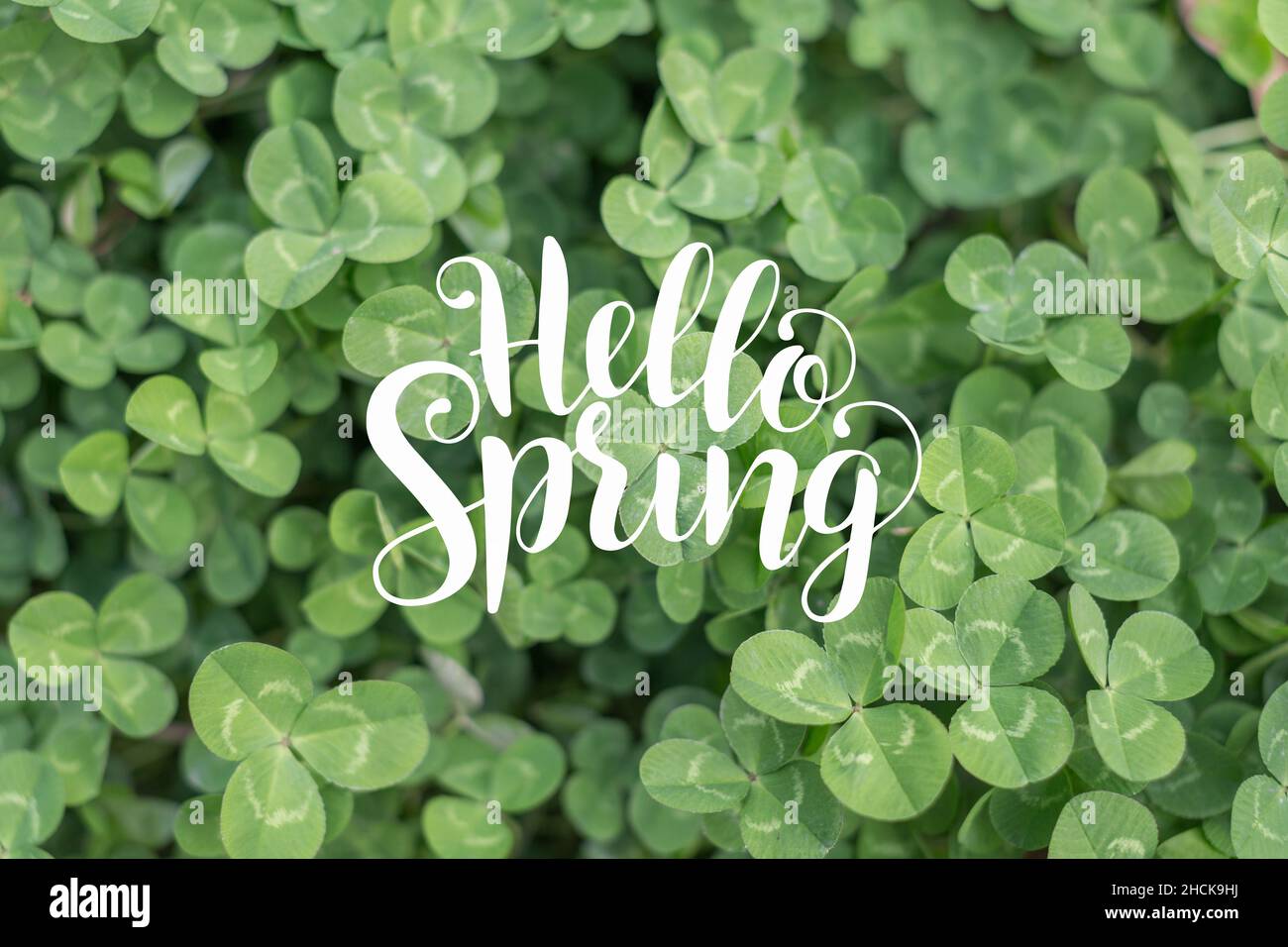 Hello grass hi-res stock photography and images - Alamy