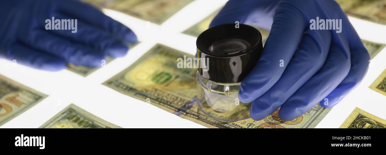 Man in rubber gloves verifying authenticity of american dollar bills closeup Stock Photo