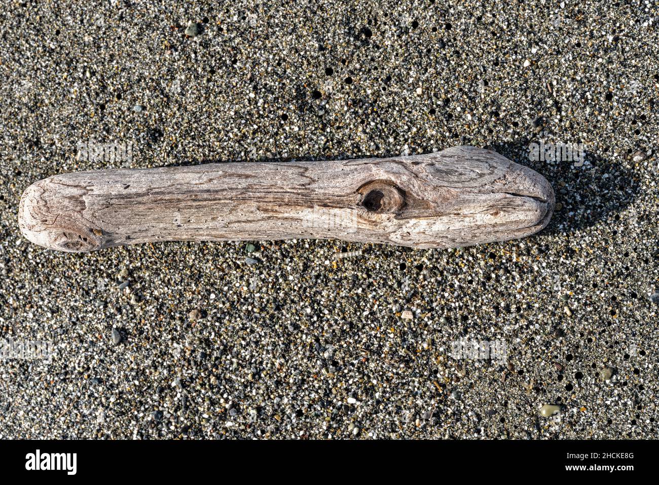 Close up of a smooth piece of driftwood on Gold Bluffs Beach at Prairie Creek Redwoods State Park in California, USA Stock Photo