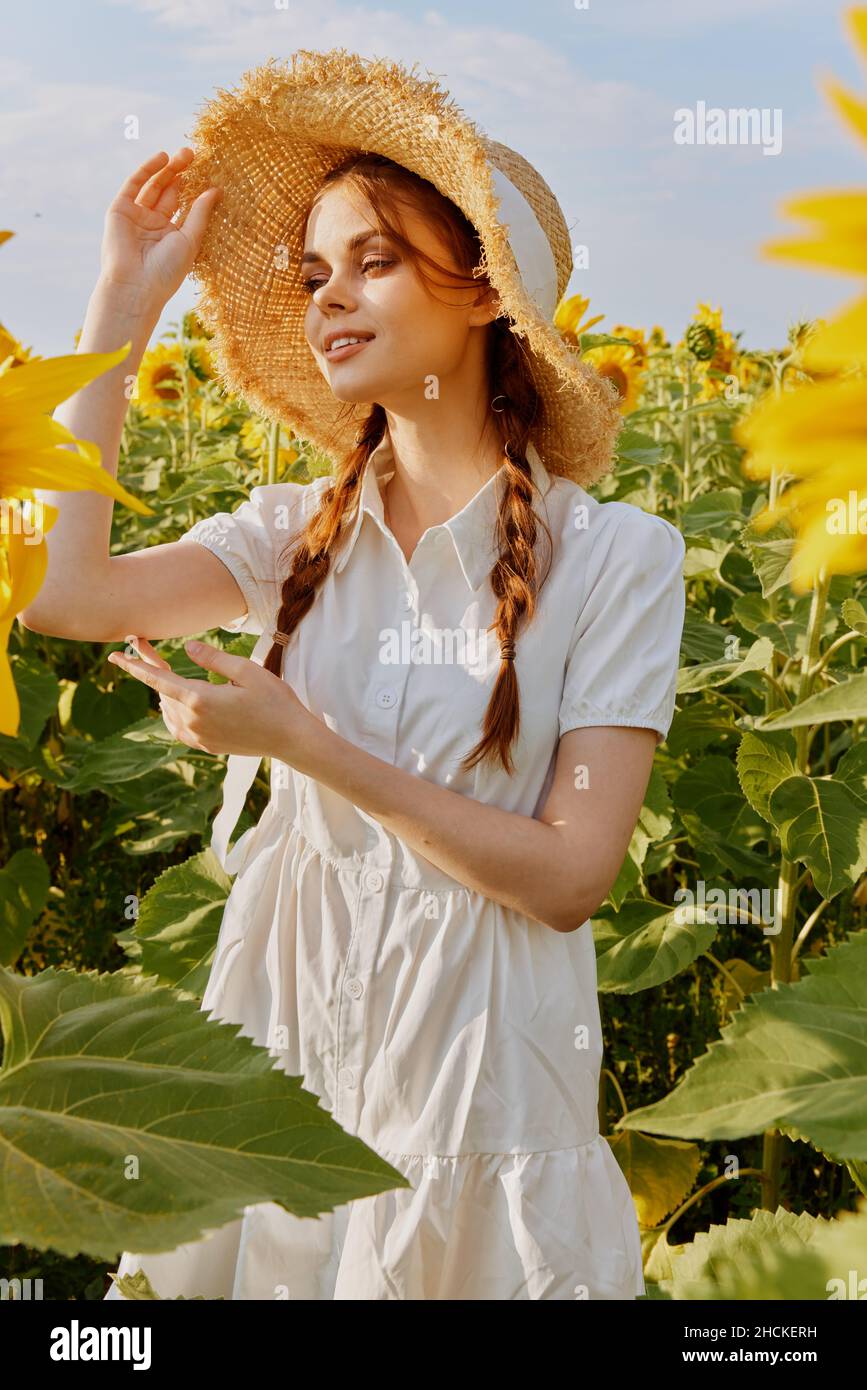 woman portrait in a field of sunflowers lifestyle landscape Stock Photo ...